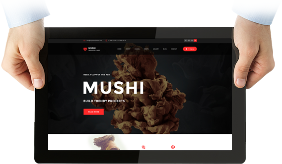 About Our Mushi Design