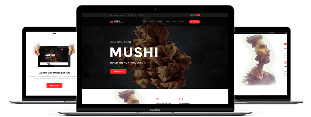 ABOUT OUR MUSHI DESIGN